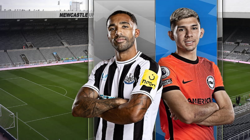 Nhận định bóng đá Newcastle vs Brighton